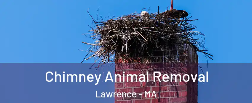  Chimney Animal Removal Lawrence - MA