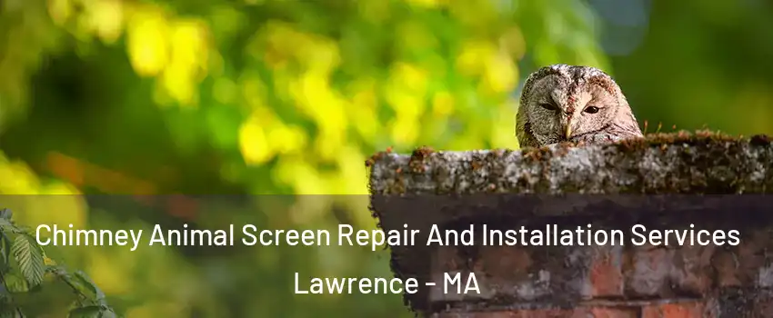  Chimney Animal Screen Repair And Installation Services Lawrence - MA